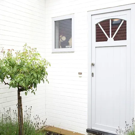 In Near * Де-Хаан