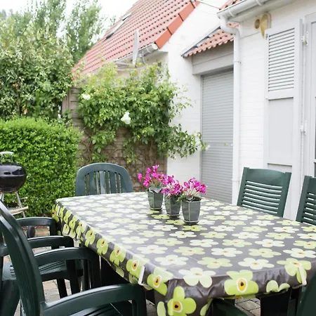 In Near * De Haan
