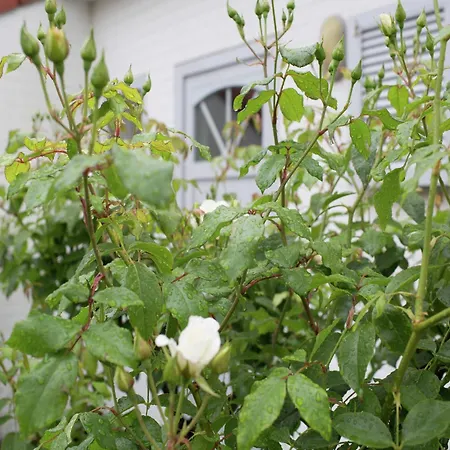 Дом отдыха In Near